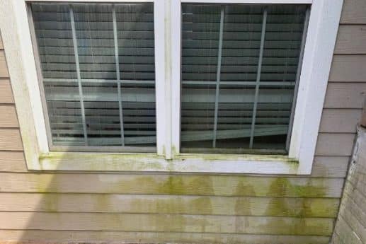 Before: A double-pane window with white trim on a beige house exterior. Greenish mold or algae stains are visible below the window on the siding prior to softwashing service. The window has closed blinds inside.