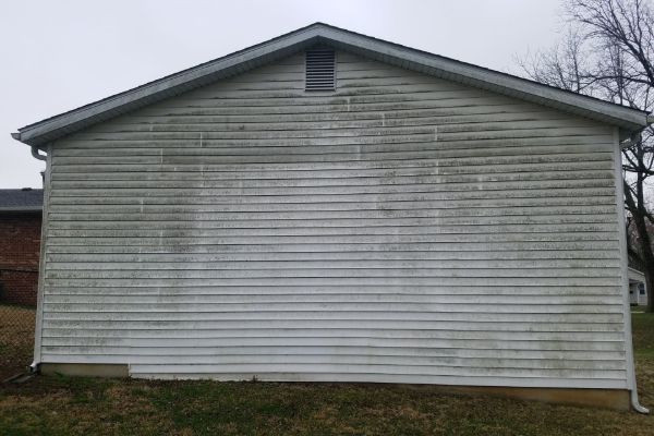 Before: The side of a white house with vinyl siding shows significant greenish mold and mildew stains, highlighting the need for professional house washing. The grassy yard and bare trees appear in the background beneath an overcast sky.